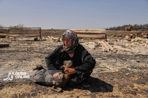 تصاویر منتخب سال 2025 از نگاه آسوشیتدپرس