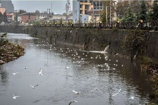 ۶۰ درصد از رودخانه‌های رشت لایروبی شد