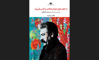 کتاب نقد و بررسی آثار داستانی یوسف علیخانی منتشر شد