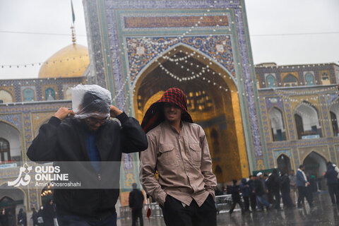 گزارش تصویری | بارش رحمت الهی در حرم مطهر رضوی