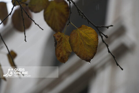 گزارش تصویری | نخستین باران پاییزی