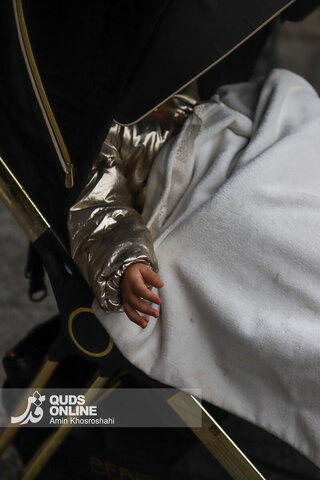 گزارش تصویری | بارش رحمت الهی در حرم مطهر رضوی