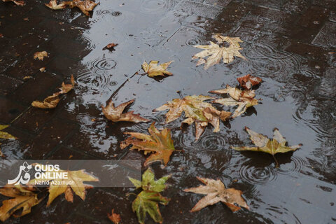 گزارش تصویری | نخستین باران پاییزی