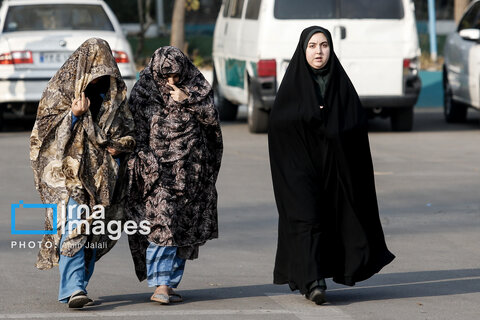 دستگیری ۲۳۰ سارق و مالخر