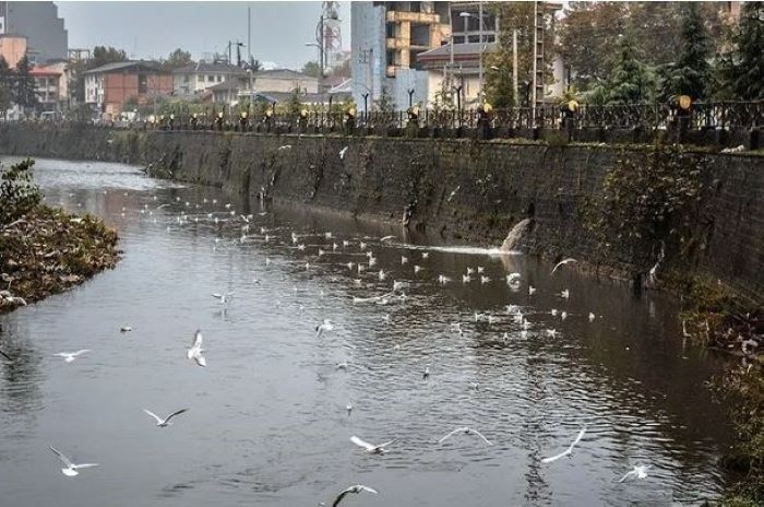 ۶۰ درصد از رودخانه‌های رشت لایروبی شد