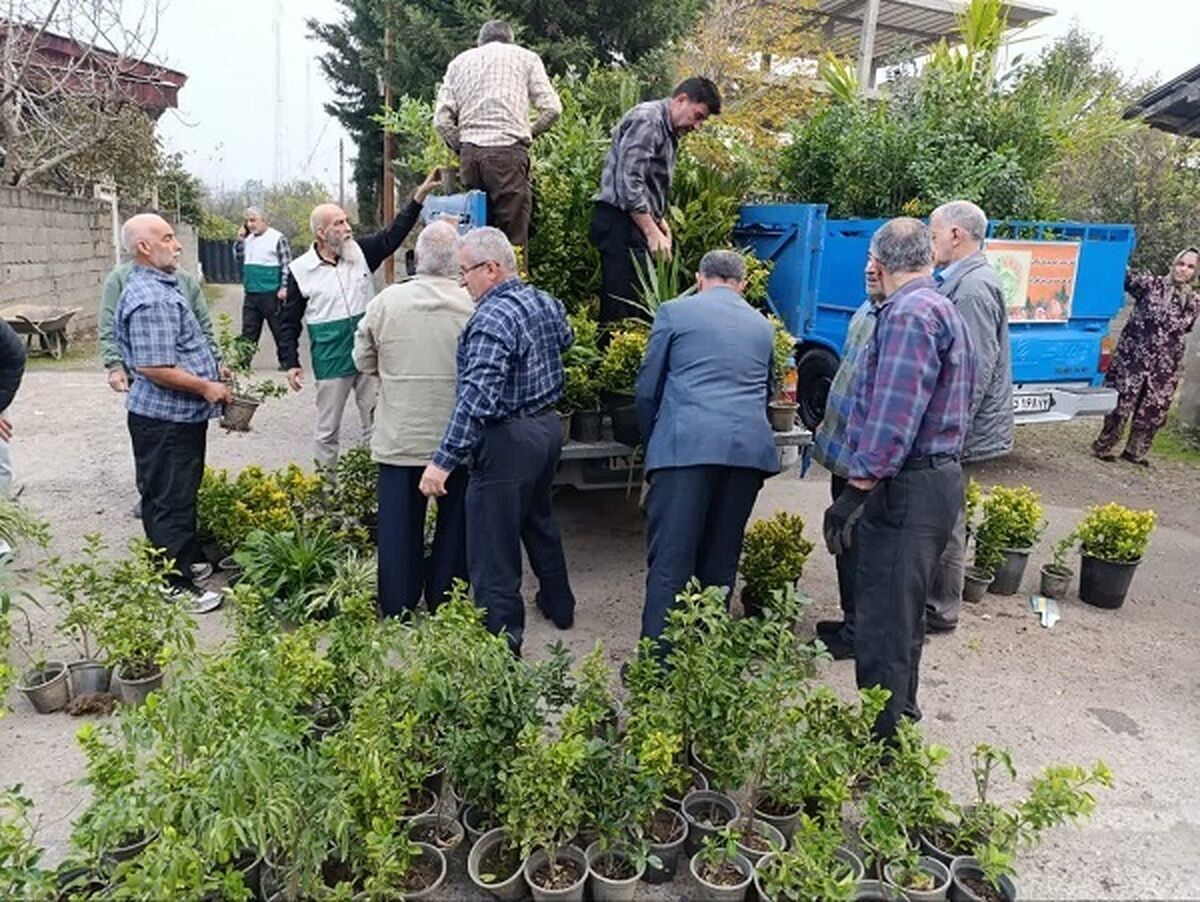 ۸۰۰ گلدان گل از تنکابن راهی صحن و سرای رضوی شد