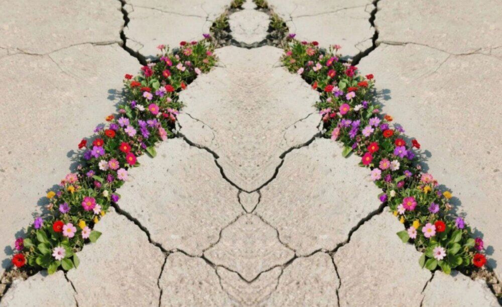 بلایی که کیسه معنویات را خالی میکند