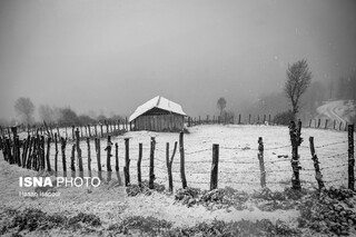 تصاویری از بارش برف پاییزی در ارتفاعات سوادکوه