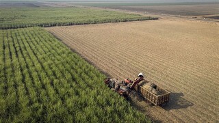 شرایط صدور سند برای اراضی کشاورزی تشریح شد