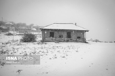 تصاویری از بارش برف پاییزی در ارتفاعات سوادکوه