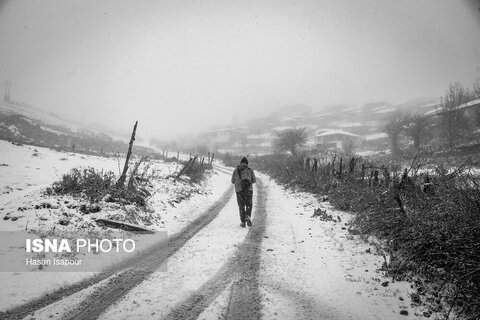 تصاویری از بارش برف پاییزی در ارتفاعات سوادکوه