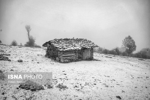 تصاویری از بارش برف پاییزی در ارتفاعات سوادکوه