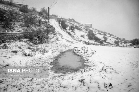 تصاویری از بارش برف پاییزی در ارتفاعات سوادکوه