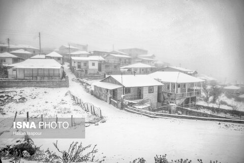 تصاویری از بارش برف پاییزی در ارتفاعات سوادکوه