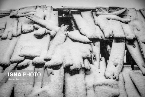 تصاویری از بارش برف پاییزی در ارتفاعات سوادکوه