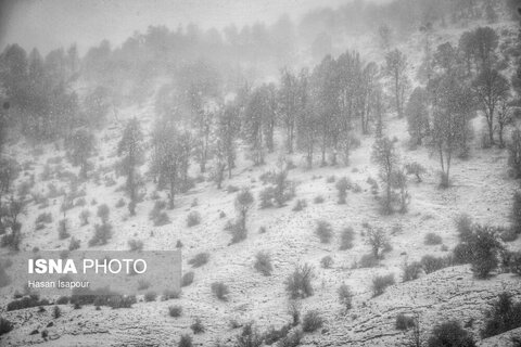 تصاویری از بارش برف پاییزی در ارتفاعات سوادکوه