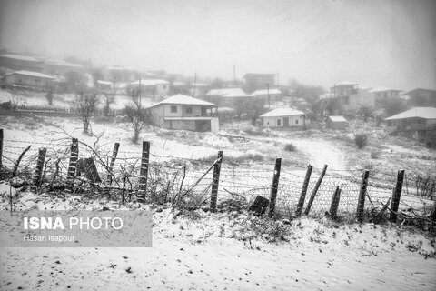 تصاویری از بارش برف پاییزی در ارتفاعات سوادکوه