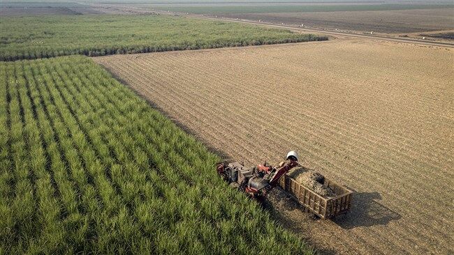 شرایط صدور سند برای اراضی کشاورزی تشریح شد