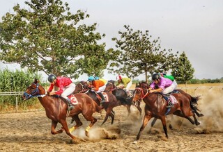 پایان ماراتُن هفته چهارم اسبدوانی پاییزه گنبدکاووس