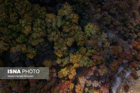 رنگ‌های زاگرس؛ پاییز پیرتو