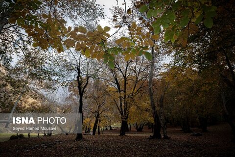 رنگ‌های زاگرس؛ پاییز پیرتو