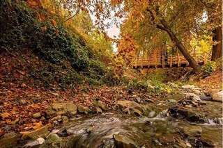 جزئیات فاز دوم روددره فرحزاد تهران اعلام شد