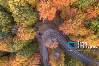 آخرین قدم‌های پاییز