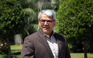 توضیحات تقوی‌نژاد درباره برنامه دولت برای کوچک سازی