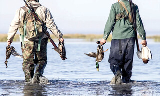 بازار فروش پرندگان مهاجر زیرزمینی شد