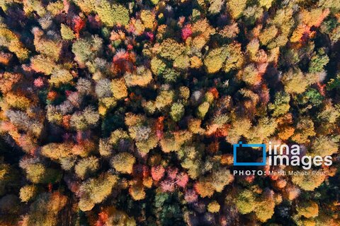 آخرین قدم‌های پاییز