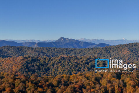 آخرین قدم‌های پاییز