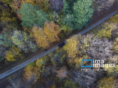 آخرین قدم‌های پاییز