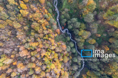 آخرین قدم‌های پاییز