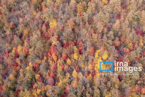 آخرین قدم‌های پاییز