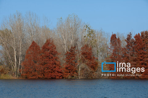 آخرین قدم‌های پاییز