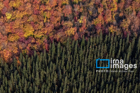 آخرین قدم‌های پاییز