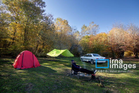 آخرین قدم‌های پاییز