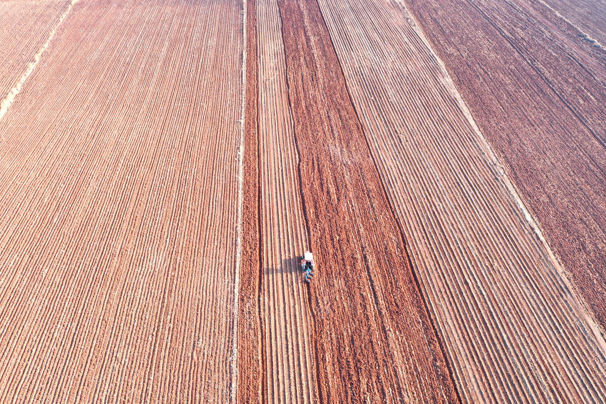 و حالا بحران خاک!