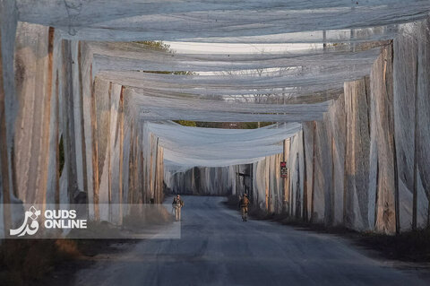 زندگی زیر تورهای ضد پهپاد