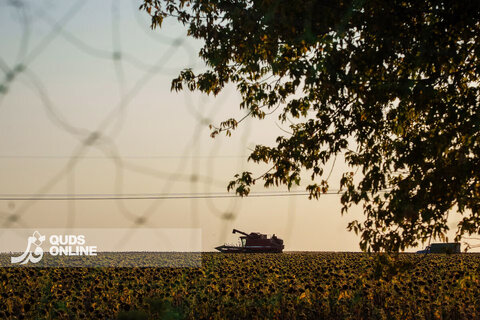 زندگی زیر تورهای ضد پهپاد