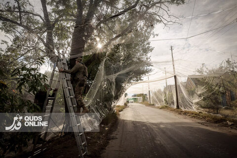 زندگی زیر تورهای ضد پهپاد