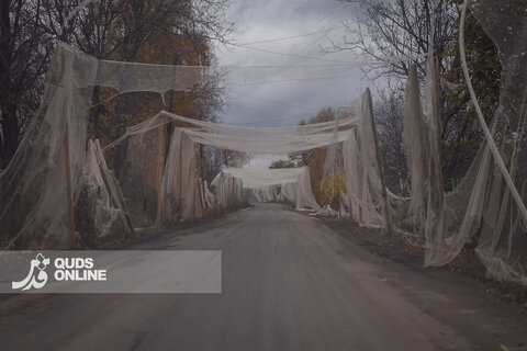 زندگی زیر تورهای ضد پهپاد