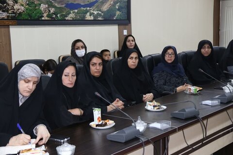 سکان ۱۴۱دهیاری لرستان در اختیار زنان است