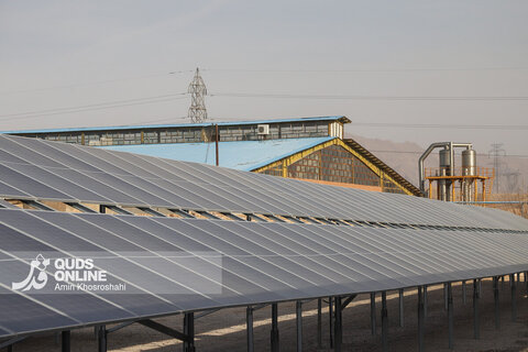 گزارش تصویری | افتتاح نیروگاه 1 مگاواتی خورشیدی - روستای فارمد
