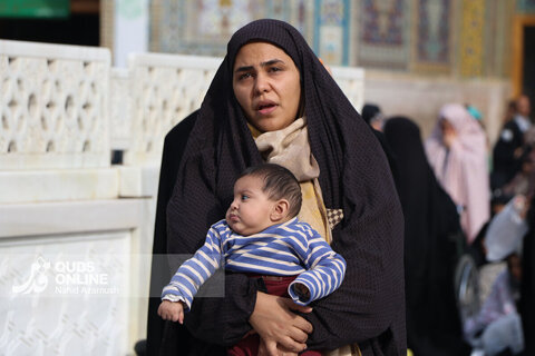 حال و هوای حرم مطهر رضوی در سالروز ولادت حضرت زهرا (س)