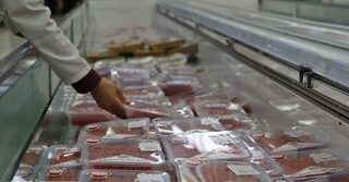 نظارت‌های بهداشتی بر تولید و عرضه فرآورده‌های دامی در زنجان تشدید شد