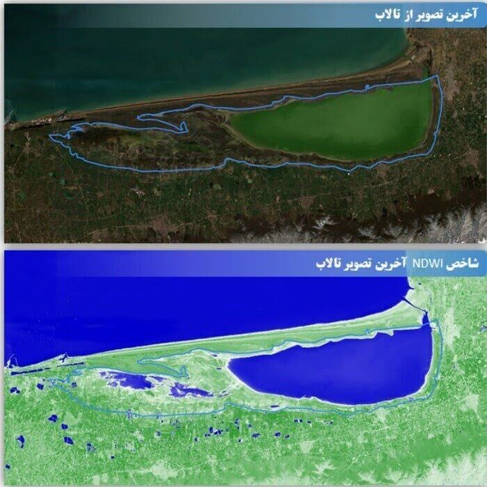 ۲۰ هزار هکتار از تالاب میانکاله به‌دلیل کاهش تراز آب دریای خزر خشک شد