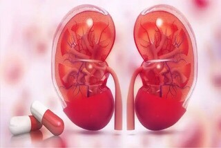 فوق تخصصی نفرولوژی مطرح کرد: نفروپاتی دیابتی، عامل اصلی نارسایی کلیه
