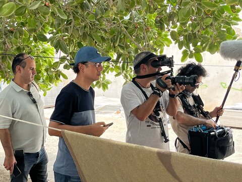 «زیر درخت لور»؛ بازتابی از زخم‌ و اضطراب‌های جمعی خانواده‌های مهاجر