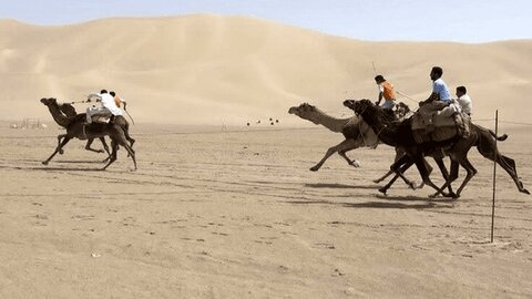 مصرِ ایران، میزبان پنجمین جشنواره ملی شترسواری می‌شود